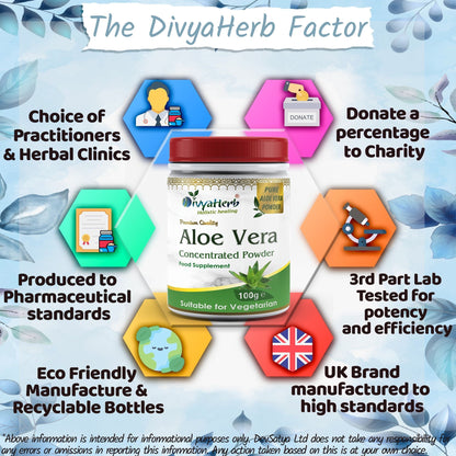 DivyaHerb Aloevera Powder 100 gram - Healthy-Looking Skin Support