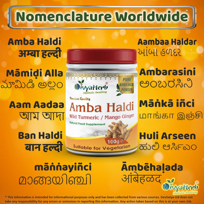 DivyaHerb Amba Haldi Powder 100 gram - Daily Wellness Support