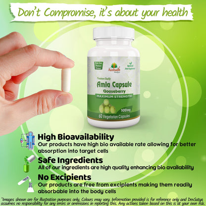 Aushadh Amla Capsules (Indian Gooseberry, Amalaki) Antioxidant Wellness Support - Vegan, Gluten Free, Non-GMO, 60 Capsules