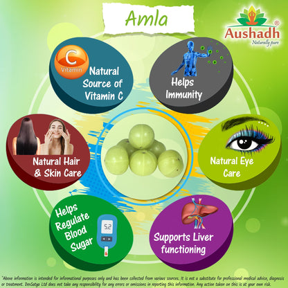 Aushadh Amla Capsules (Indian Gooseberry, Amalaki) Antioxidant Wellness Support - Vegan, Gluten Free, Non-GMO, 60 Capsules
