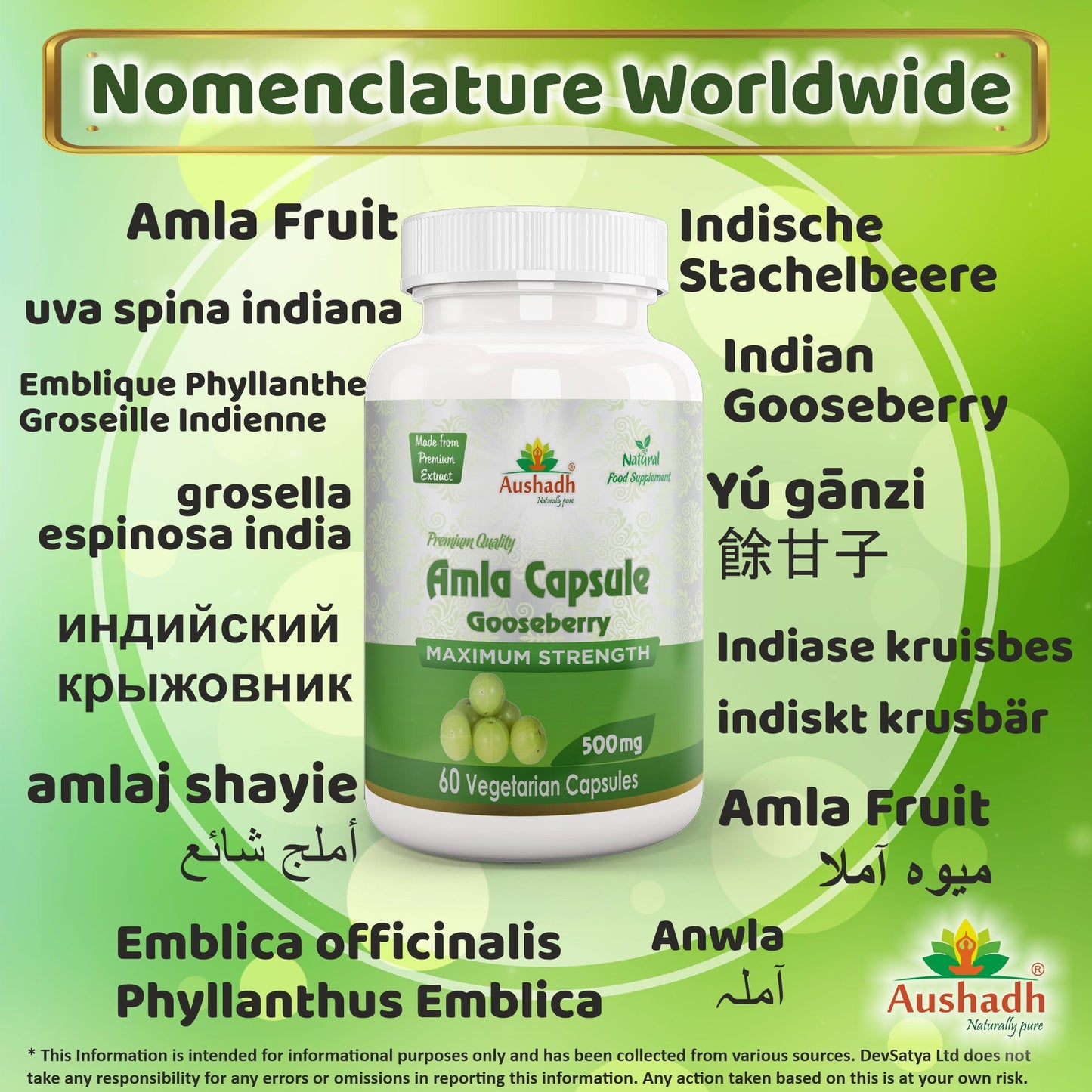 Aushadh Amla Capsules (Indian Gooseberry, Amalaki) Antioxidant Wellness Support - Vegan, Gluten Free, Non-GMO, 60 Capsules