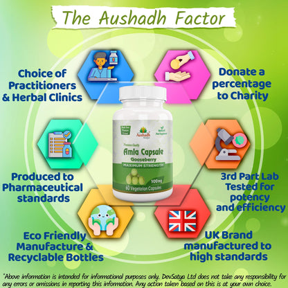 Aushadh Amla Capsules (Indian Gooseberry, Amalaki) Antioxidant Wellness Support - Vegan, Gluten Free, Non-GMO, 60 Capsules