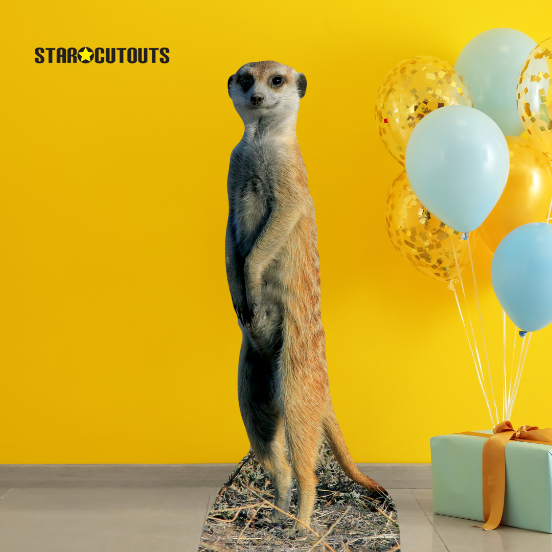 SC227 Meerkat Cardboard Cut Out Height 98cm