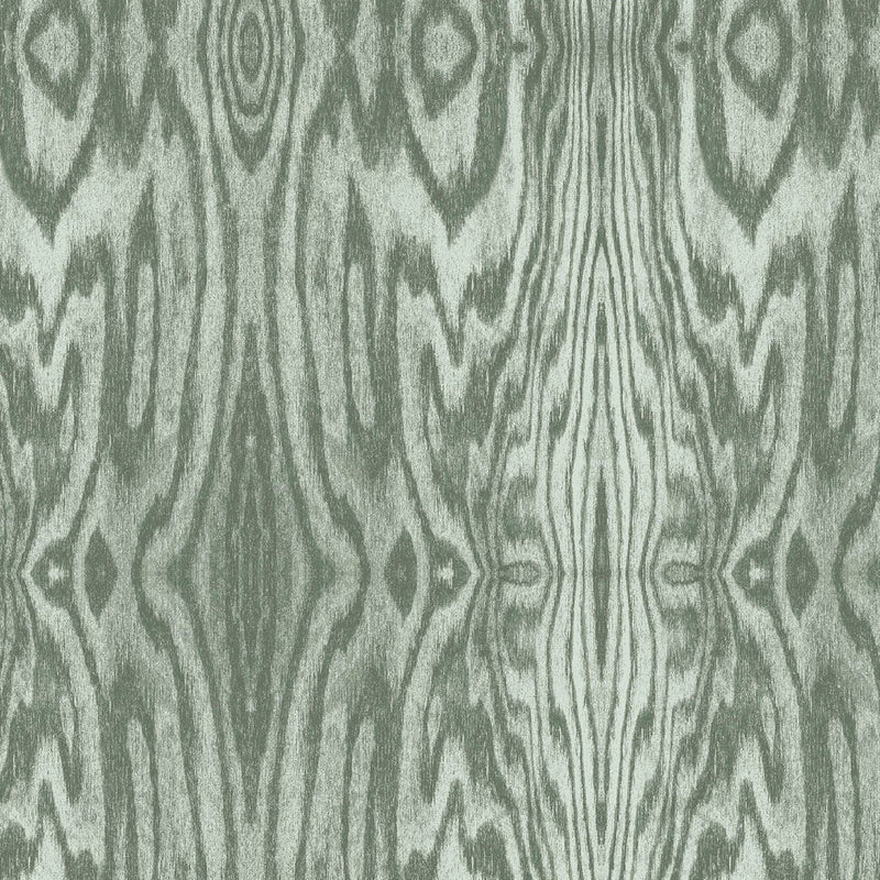 Arbre Laurel 38