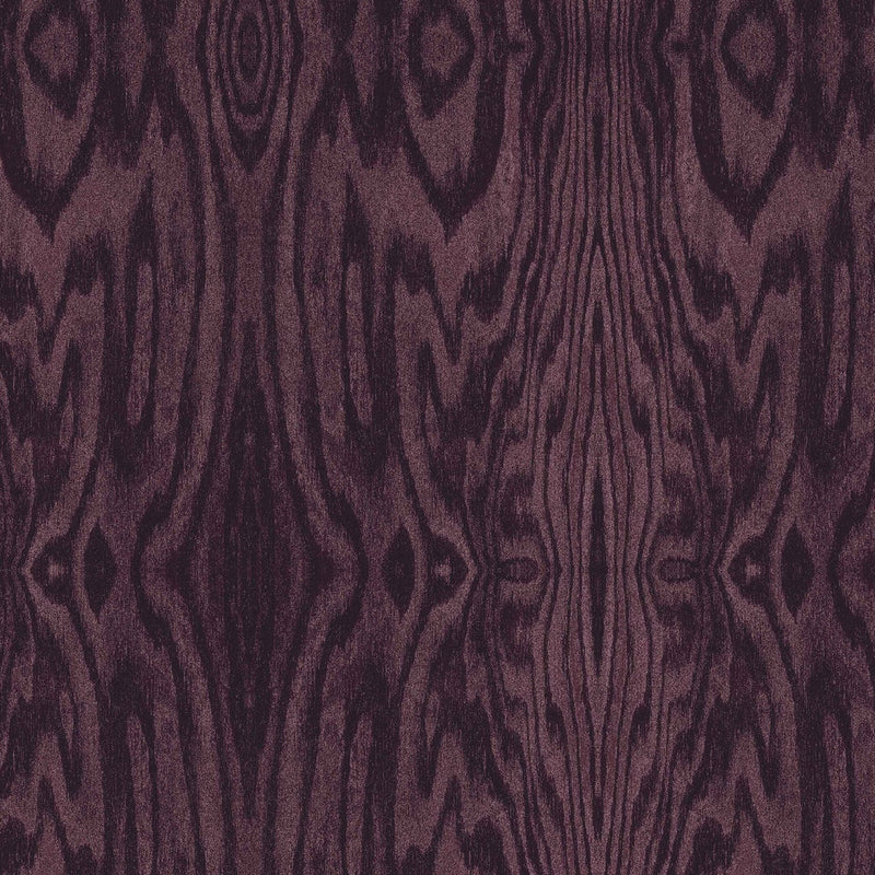 Arbre Damson 53