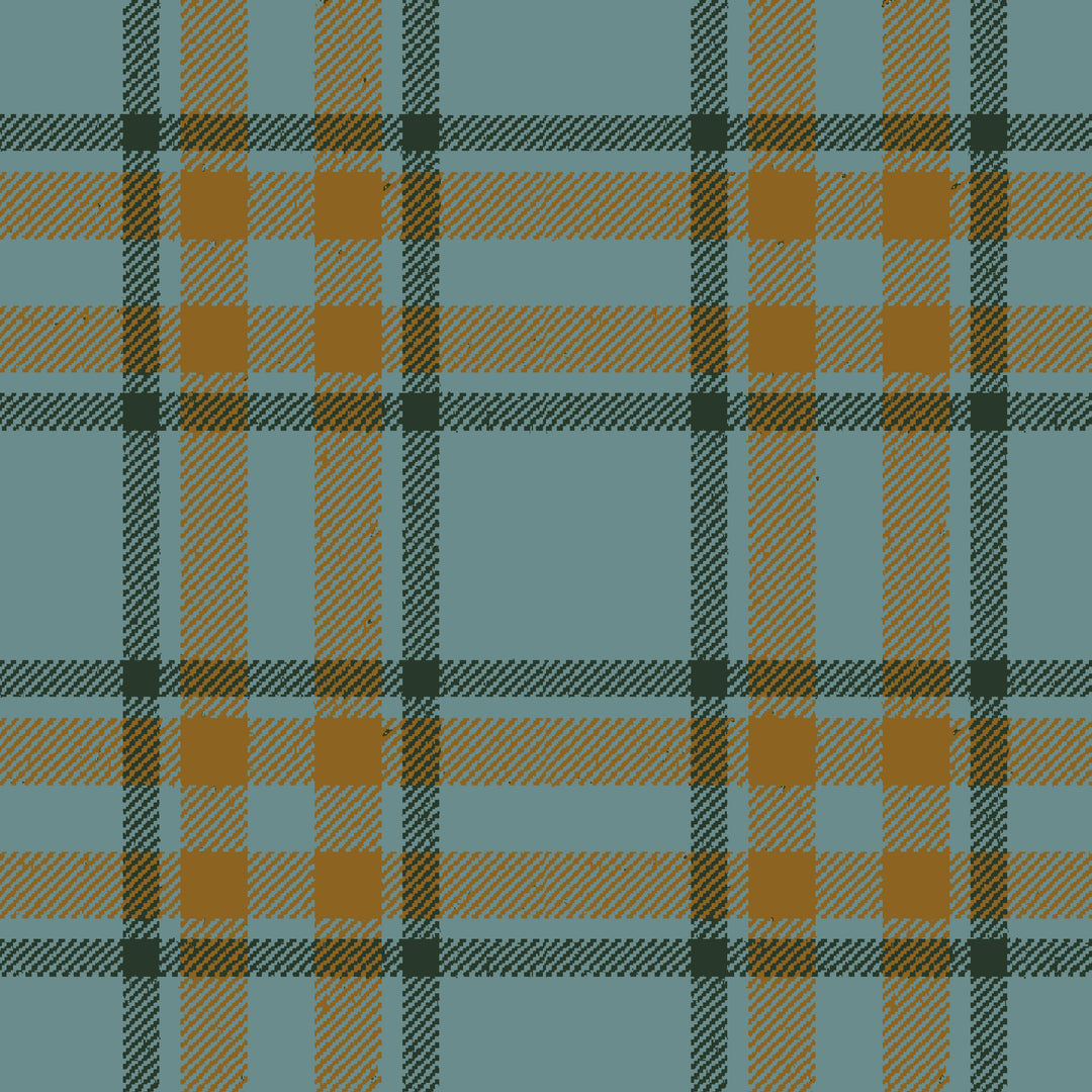 Arran Check Cove 167