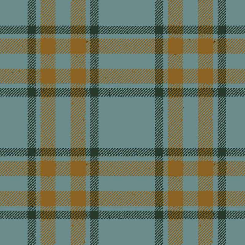 Arran Check Cove 167