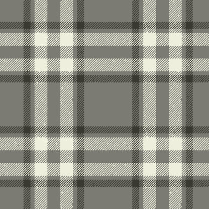 Arran Check Platinum 176