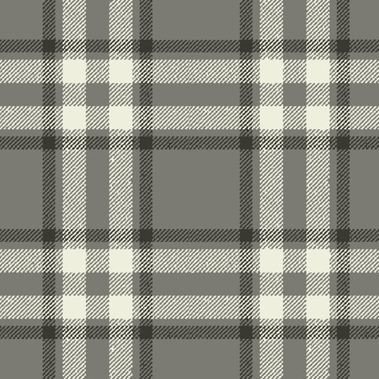 Arran Check Platinum 176