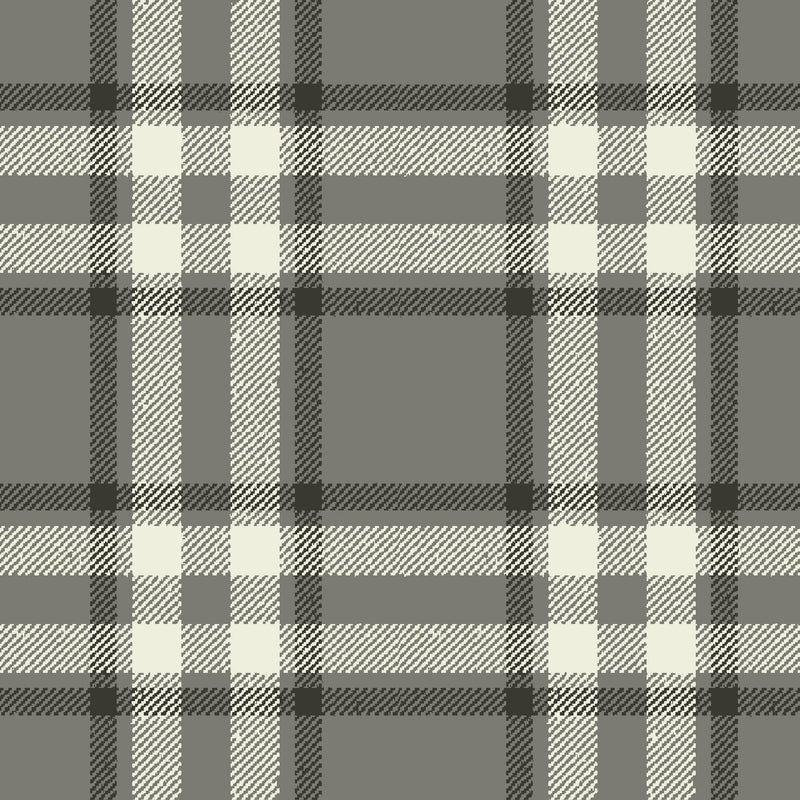 Arran Check Platinum 176