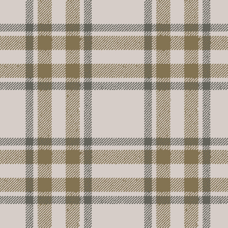 Arran Check Oatmeal 179