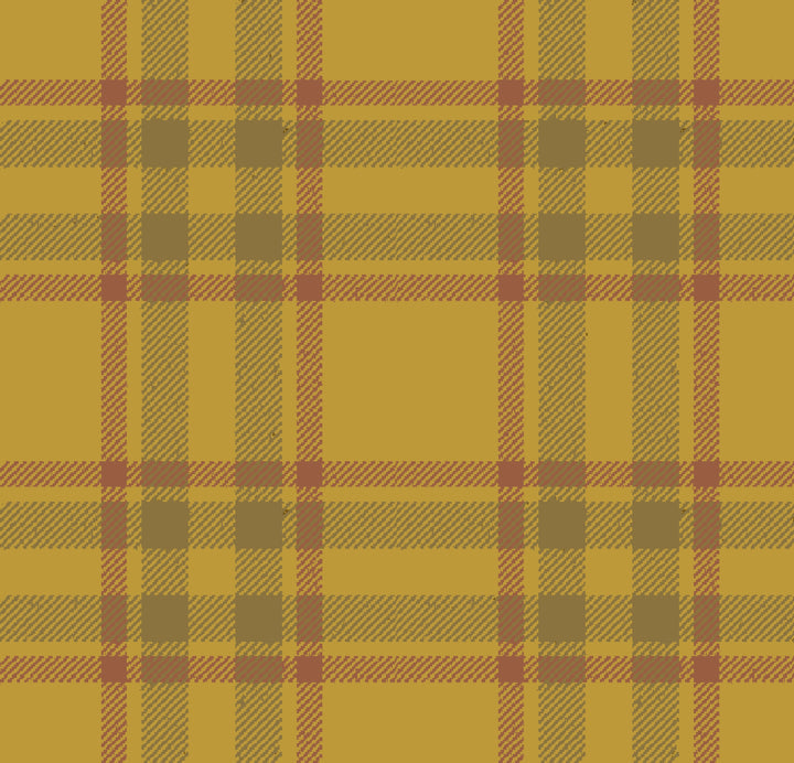 Arran Check Gold 29