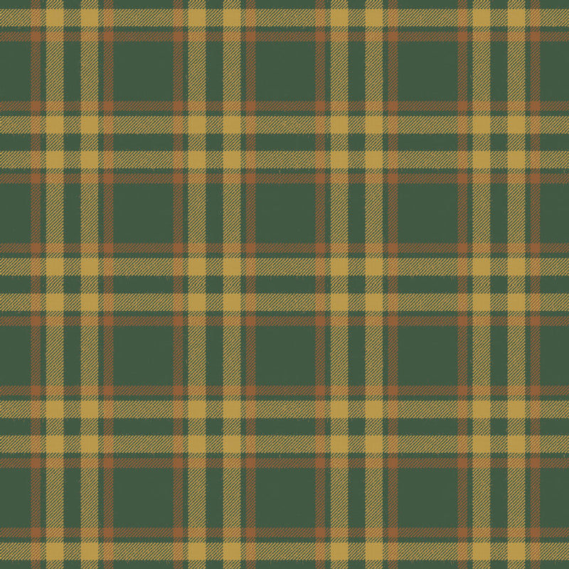 Arran Check (Small)  Forest 30