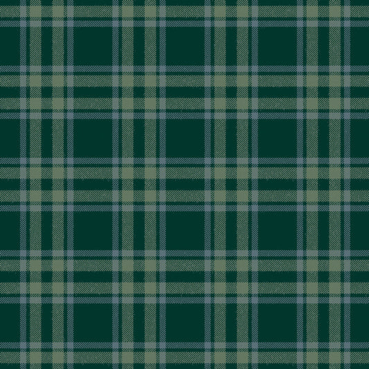 Arran Check (Small) Sage 36