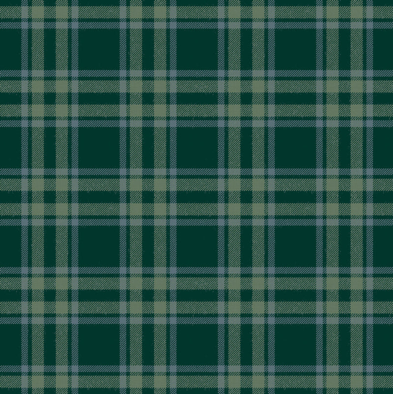 Arran Check (Small) Sage 36