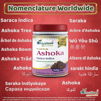 DivyaHerb Ashoka Powder 100 gram - Women's Wellness Support