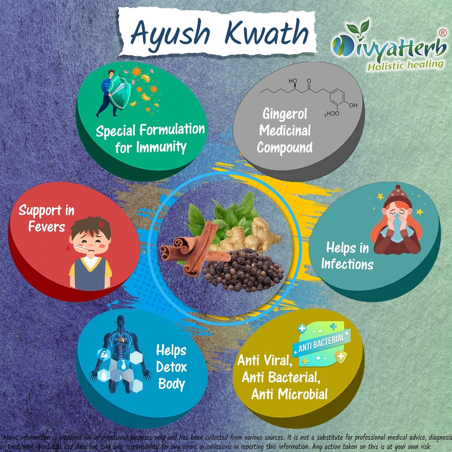 DivyaHerb Ayush Kwath Powder 100 gram - Seasonal Wellness Support