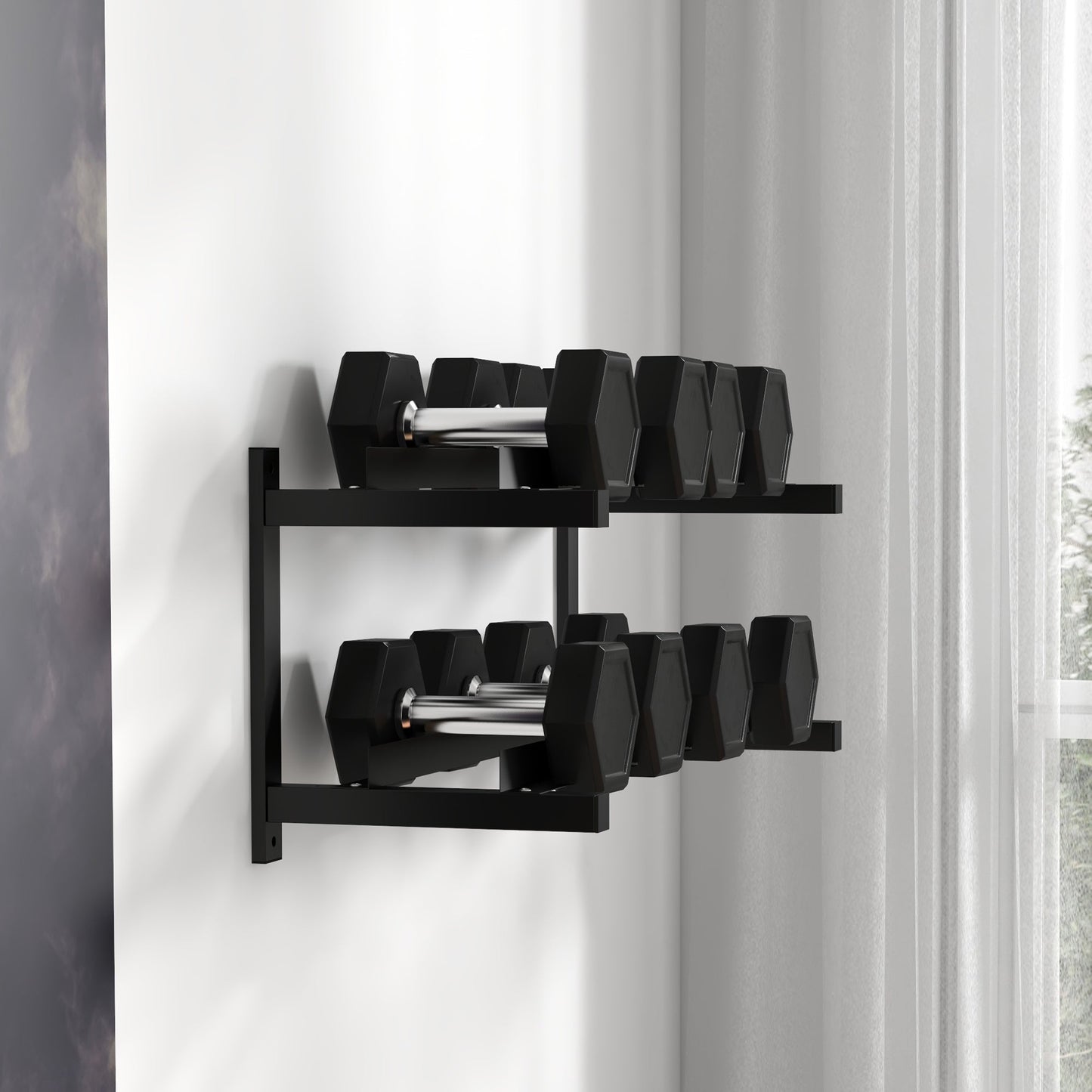 SPORTNOW Wall-Mounted Dumbbell Rack, 2-Tier Weight Stand, Space-Saving and Multi-Functional Steel organiser for Home Gym, Black