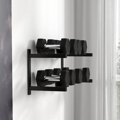 SPORTNOW Wall-Mounted Dumbbell Rack, 2-Tier Weight Stand, Space-Saving and Multi-Functional Steel organiser for Home Gym, Black