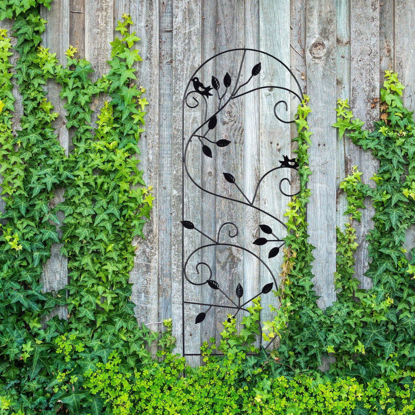 Relaxdays Bird Trellis, Metal Garden Lattice, Climbing Aid for Plants, 120 x 40 cm, Vine Design, White
