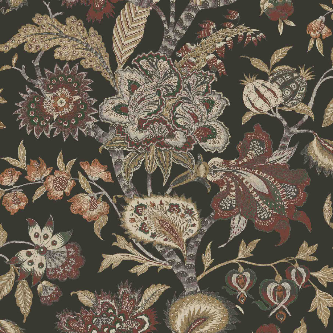 Baby Bombay Spice 15