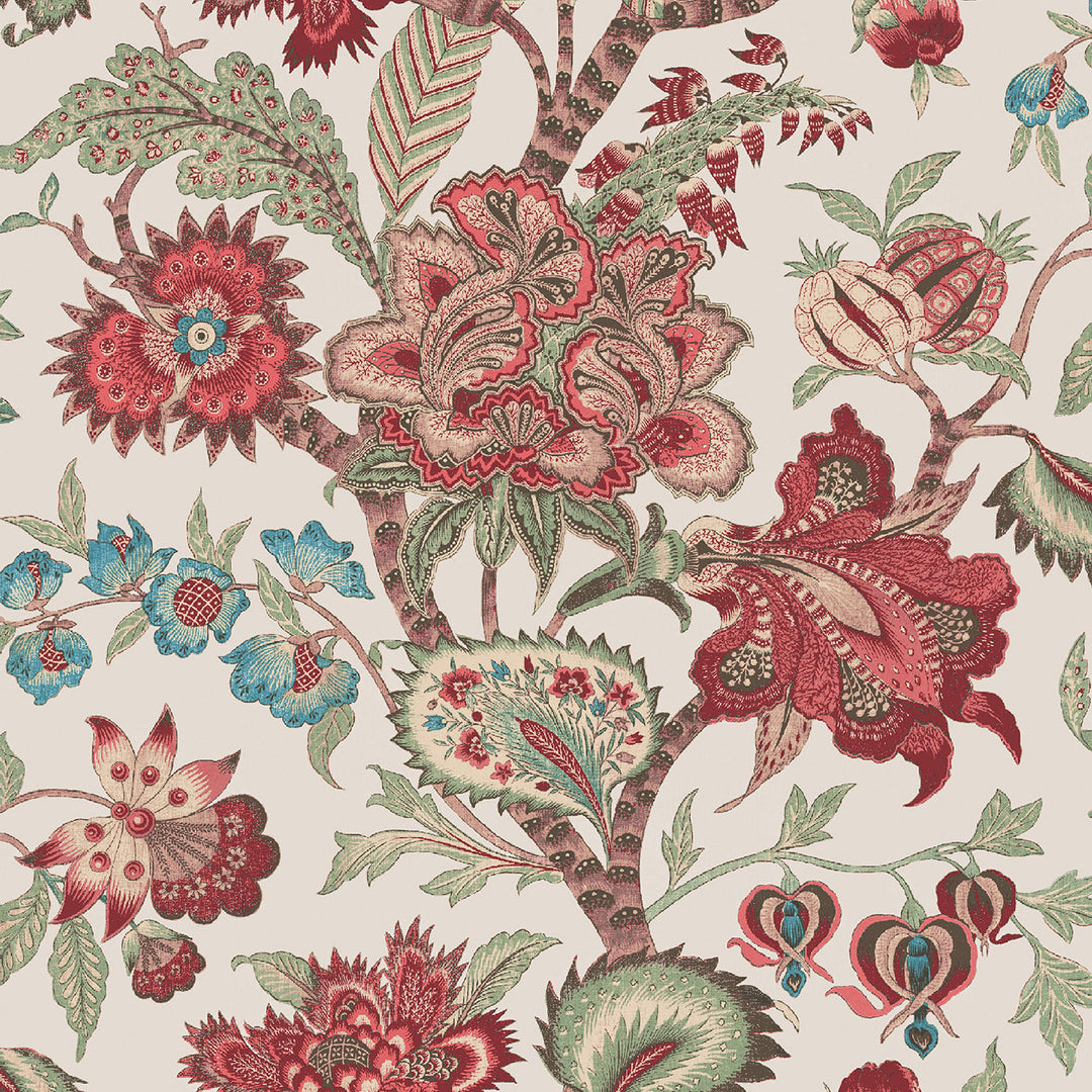 Baby Bombay Rouge 29