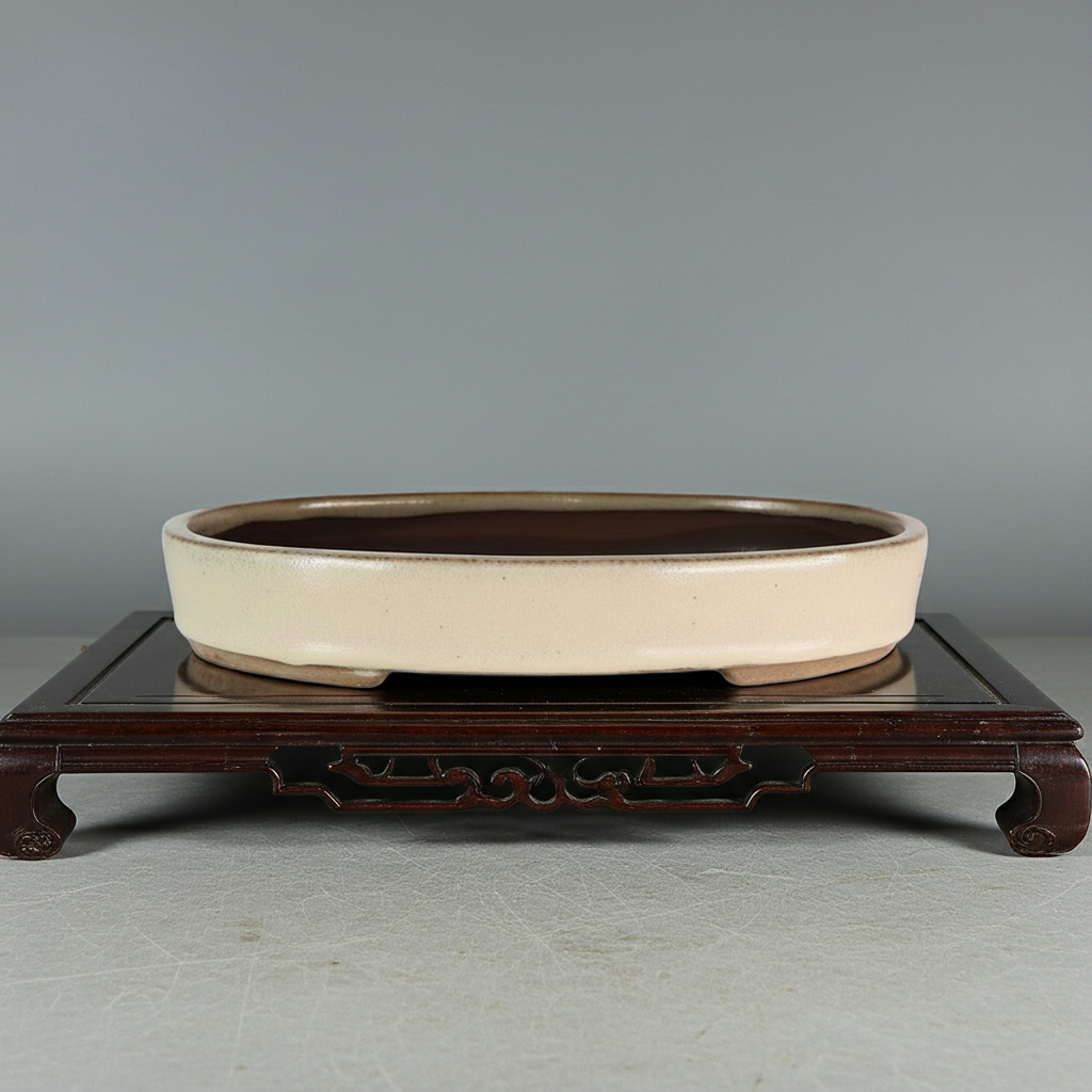 26cm Glazed Bonsai Pot | Oval | 26cm x 19cm x 4cm | Cream