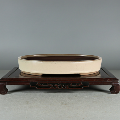 26cm Glazed Bonsai Pot | Oval | 26cm x 19cm x 4cm | Cream