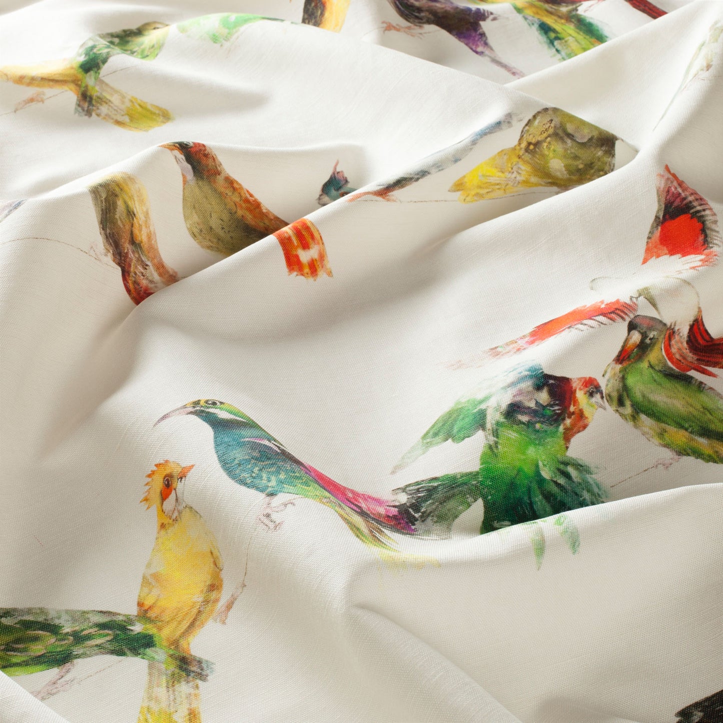 Birdsong