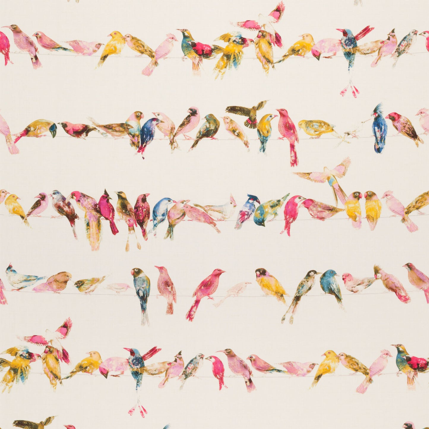 Birdsong