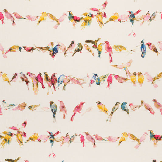 Birdsong