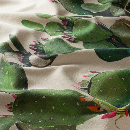 Botanical Bliss