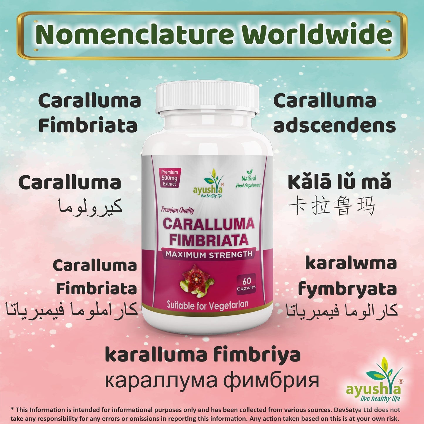 Ayushya Caralluma Fimbriata Capsules (Famine Food) Appetite Balance Support - Vegan, Gluten Free, Non-GMO, 60 Capsules