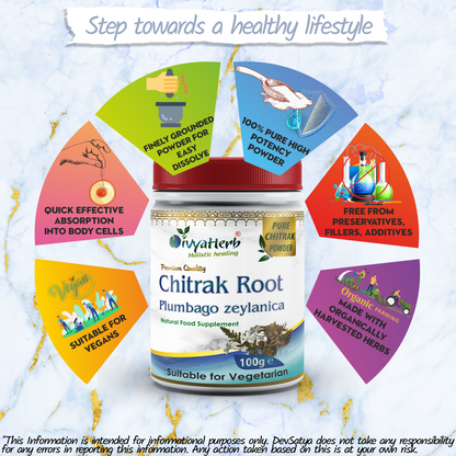 DivyaHerb Chitrak Root Powder 100 gram - Daily Wellness Support