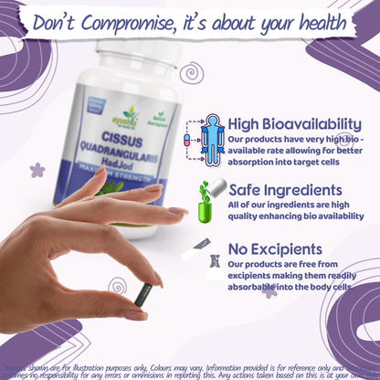 Ayushya Cissus Quadrangularis Capsules (Hadjod, Bone Setter) Joint & Bone Support - Vegan, Gluten Free, Non-GMO, 60 Capsules