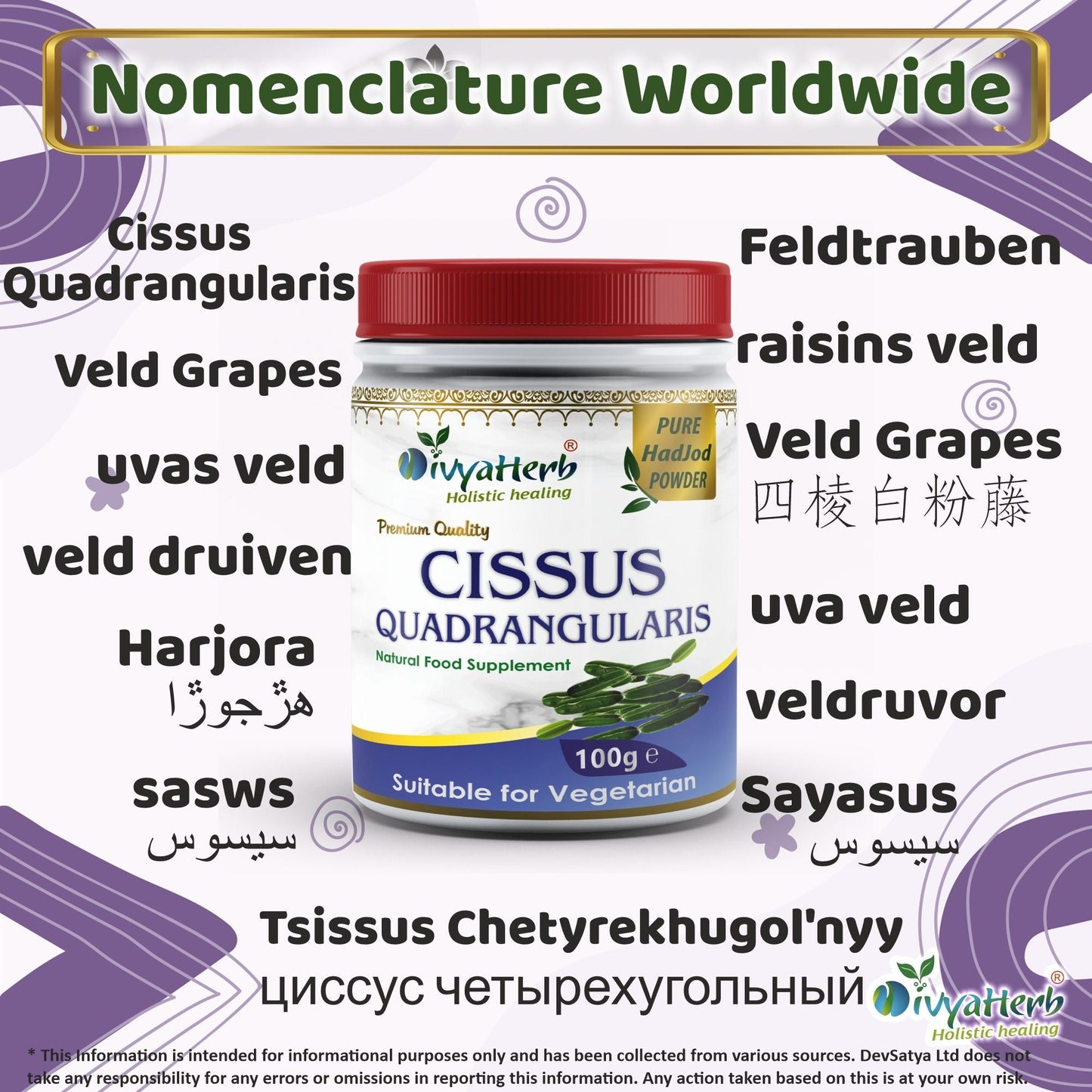 DivyaHerb Cissus Quadrangularis Powder 100 gram - Joint & Mobility Support