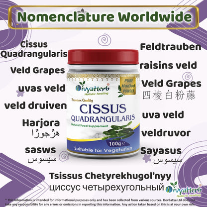 DivyaHerb Cissus Quadrangularis Powder 100 gram - Joint & Mobility Support