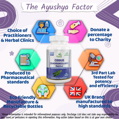 Ayushya Cissus Quadrangularis Capsules (Hadjod, Bone Setter) Joint & Bone Support - Vegan, Gluten Free, Non-GMO, 60 Capsules