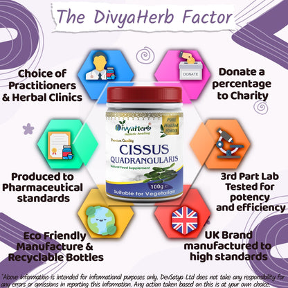 DivyaHerb Cissus Quadrangularis Powder 100 gram - Joint & Mobility Support