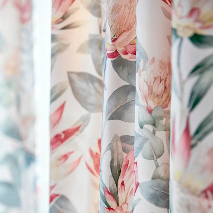 King Protea