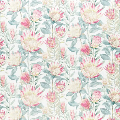 King Protea