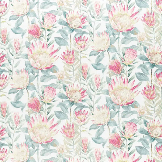King Protea