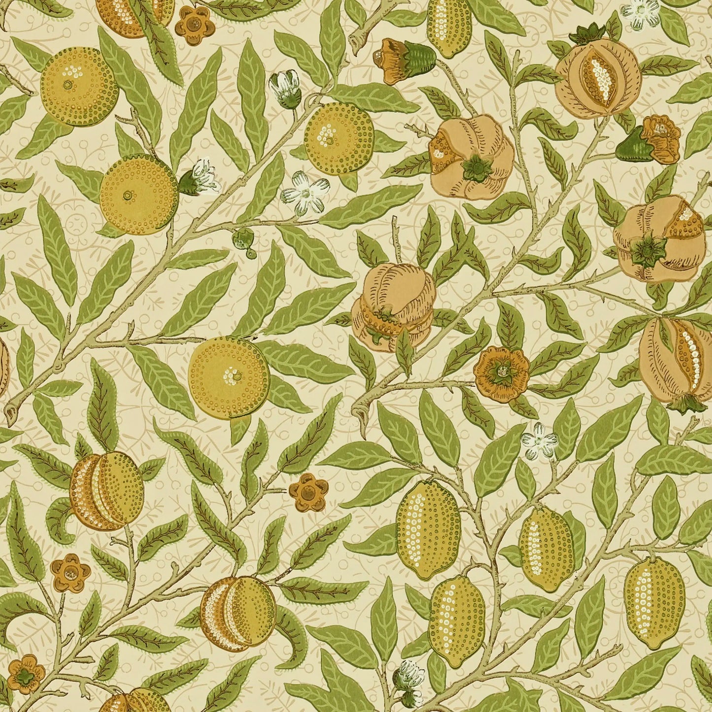 Fruit Wallpaper