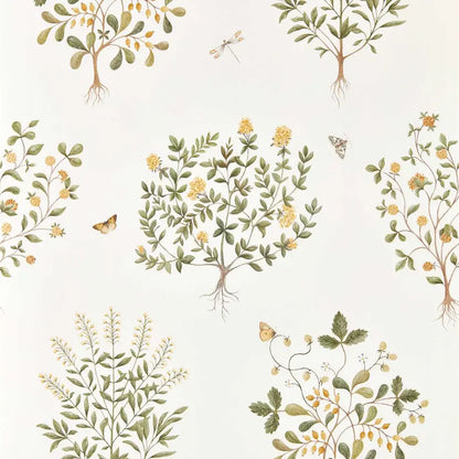 Thyme Walk Wallpaper