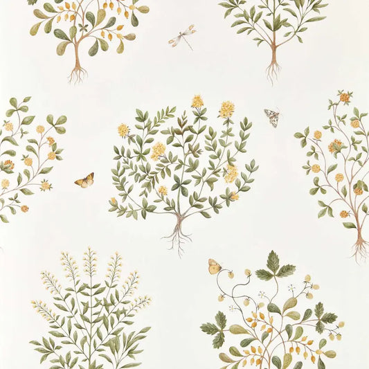 Thyme Walk Wallpaper