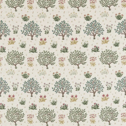 Orchard