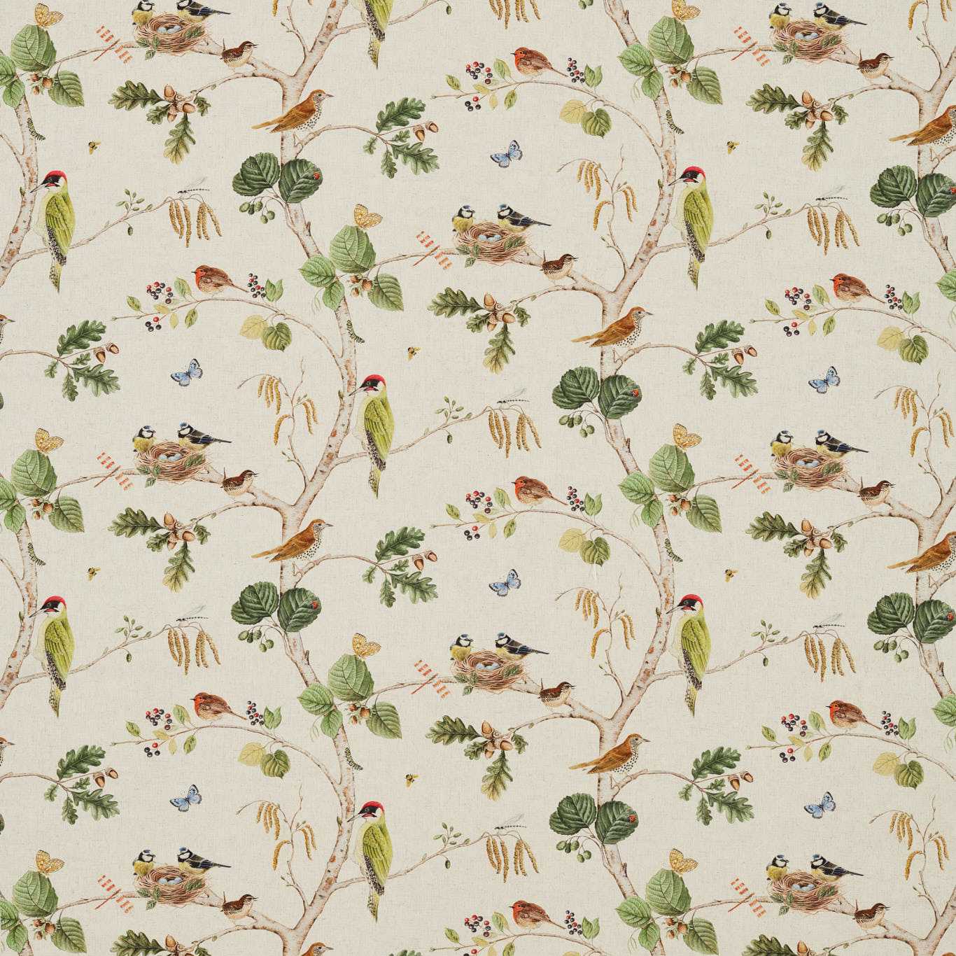 Woodland Chorus