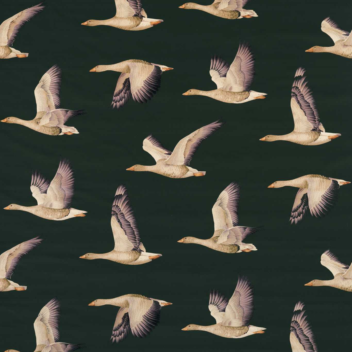 Elysian Geese Velvet