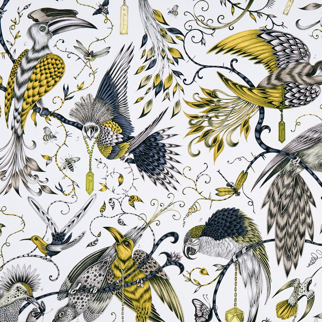 Audubon