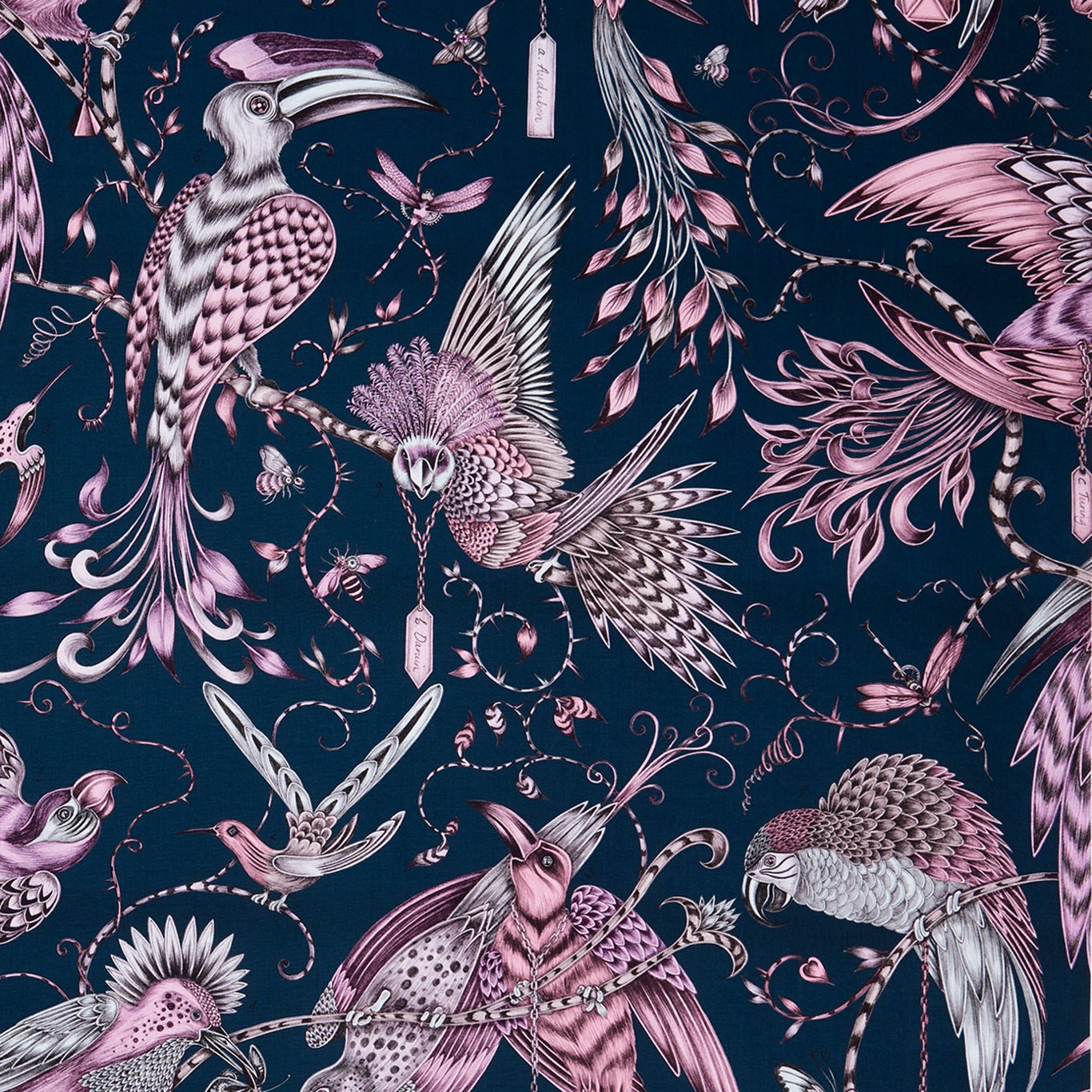 Audubon